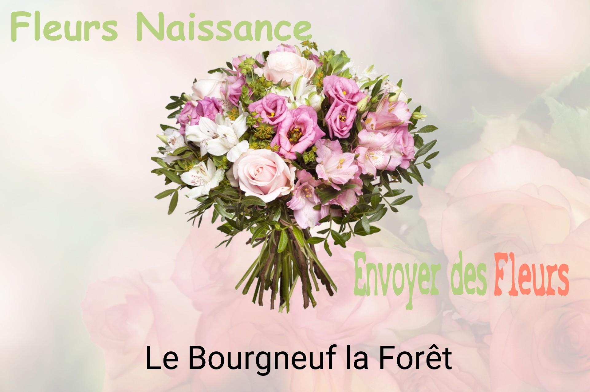 Bouquet de fleurs de naissance livré à Le Bourgneuf-la-Forêt