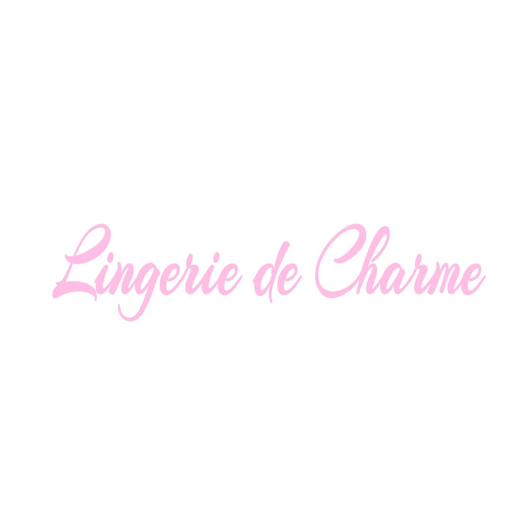 LINGERIE DE CHARME LE-BOURGNEUF-LA-FORET